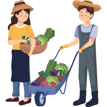 farmers with vegetables in wheelbarrow png