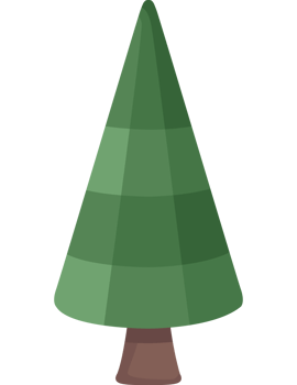 pine coniferus tree png