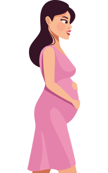 woman three months pregnant png