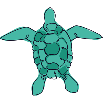 green turtle animal png