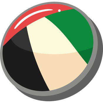 UAE flag in button png