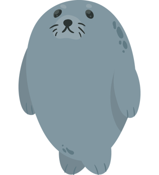 cute seal baby png