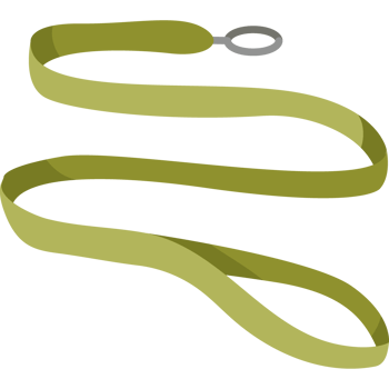 green necklace pet accessory png