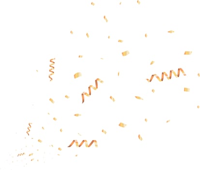 gold confetti for the party , Present, decoration, birthday, confetti icon. Vector drawing