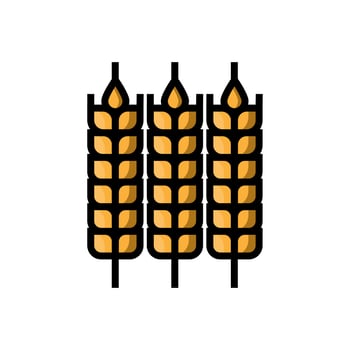 Gray Cereals icons set with rice, wheat, corn, oats, oats, barley signs isolated on white background. Ears symbol of wheat bread. Farm wheat symbol. vector