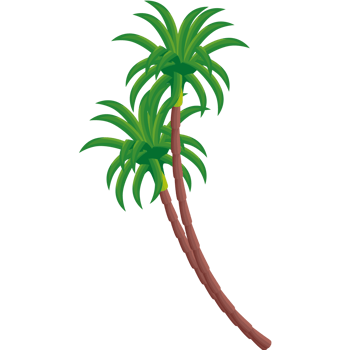 trees palms tropical plants png