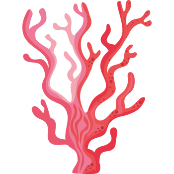red seaweed plant png