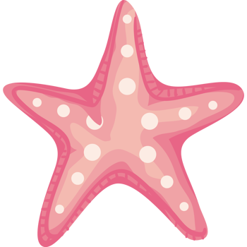 starfish sealife animal png