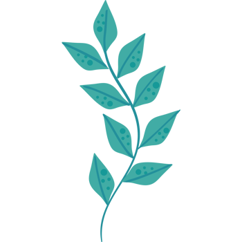 green seaweed branch png