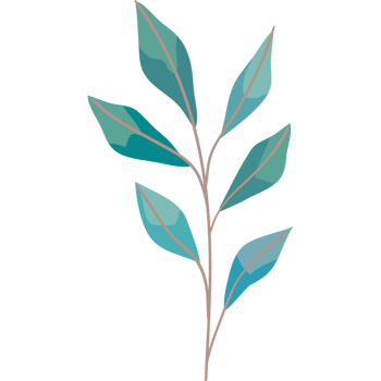 branch with leafs plant png