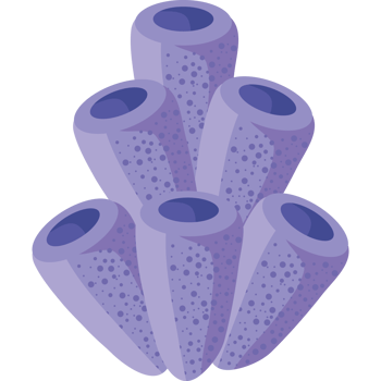 lilac coral reef sealife png