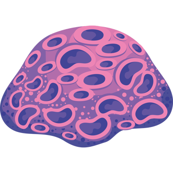 pink and purple coral reef png