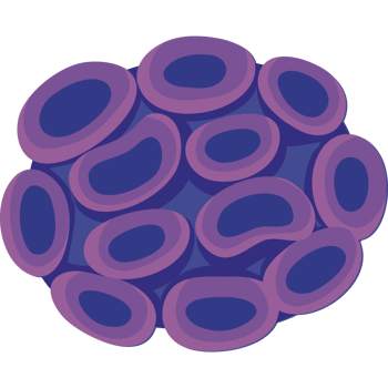 purple coral reef sealife png