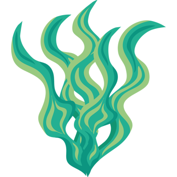 green algae sealife png