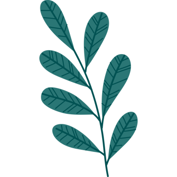 branch with leafs png
