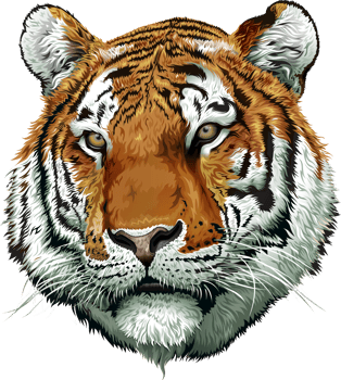 tiger face illustration png