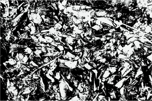 black and white fleck texture, Artistic and natural Texture With Vector EPS format