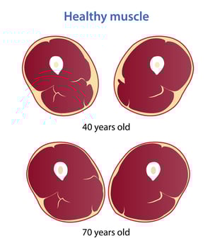 Healthy muscle mass and strength vector illustration isolated on white background.