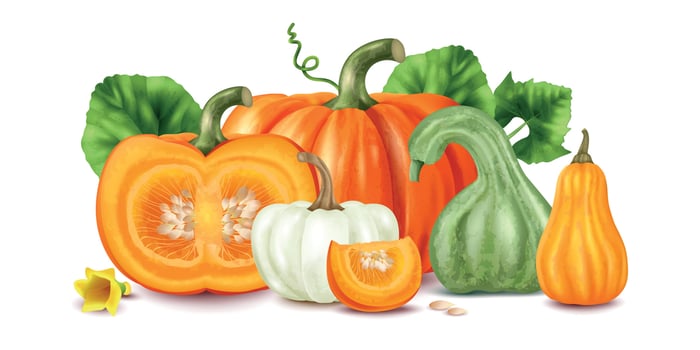 Realistic Pumpkin Concept vector