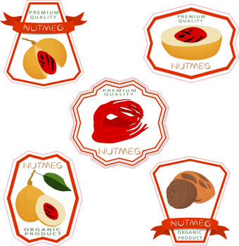Sweet juicy tasty natural eco product nut png