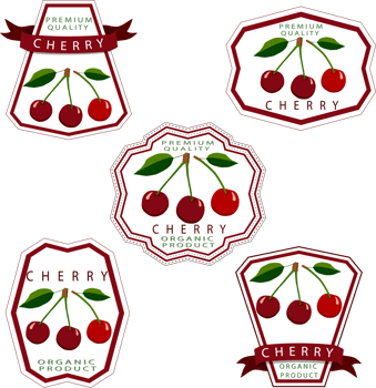 Sweet juicy tasty natural eco product cherry png