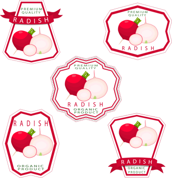 Sweet juicy tasty natural eco product radish png