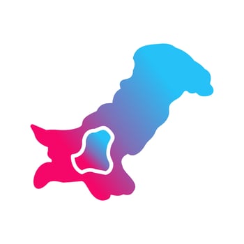 Map Vector Icon