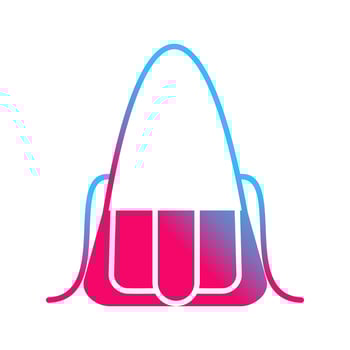 Bag Vector Icon