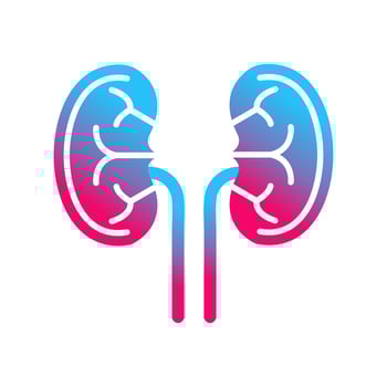 Kidney Unique Vector Icon