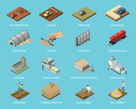 Wheat Grain Industry Isometric Set vector