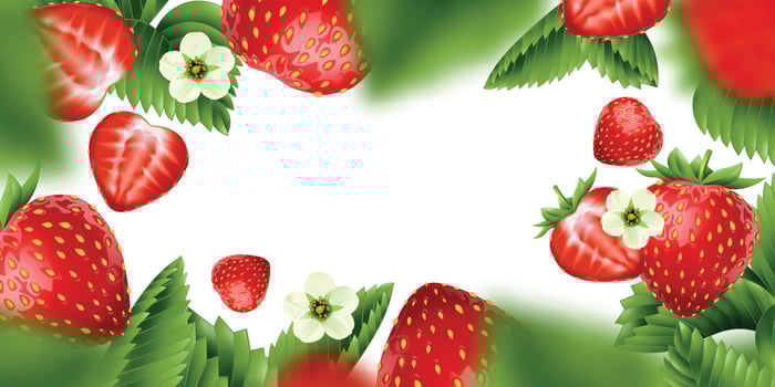Realistic Strawberry Background vector