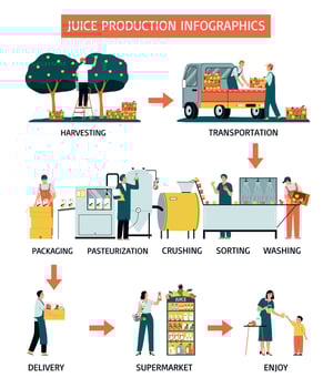 Juice Production Infographics vector