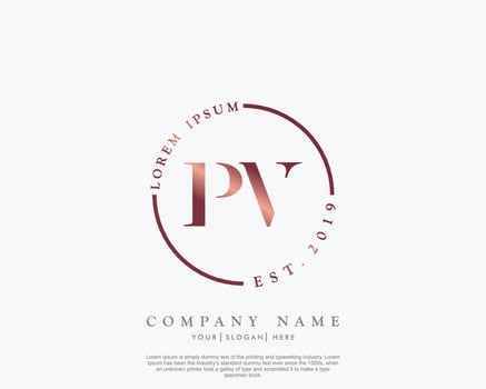 Initial letter PV Feminine logo beauty monogram and elegant logo design, handwriting logo of initial signature, wedding, fashion, floral and botanical with creative template vector