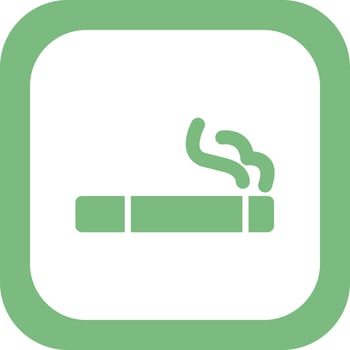 Cigarette Vector Icon