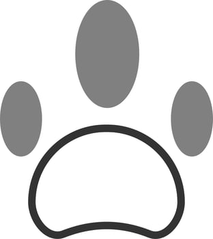 Paw Vector Icon