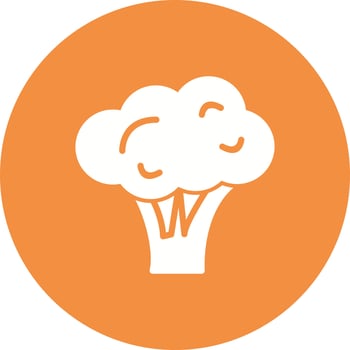 Broccoli Vector Icon