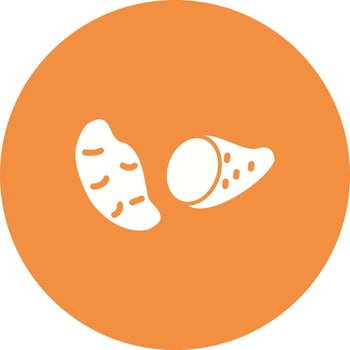 Sweet Potato Vector Icon