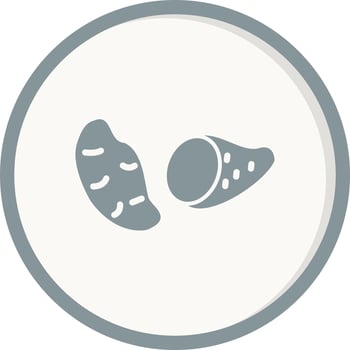 Sweet Potato Vector Icon