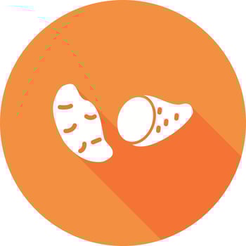 Sweet Potato Vector Icon