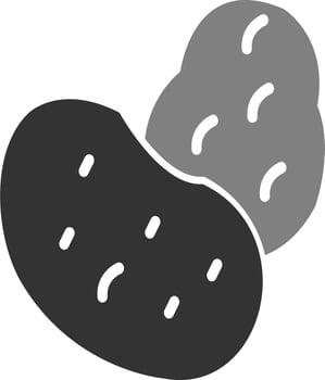 Potato Vector Icon