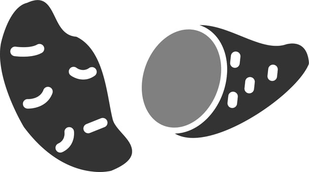 Sweet Potato Vector Icon
