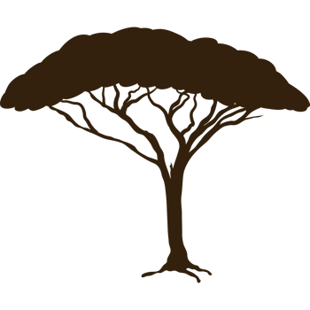 tree forest silhouette png