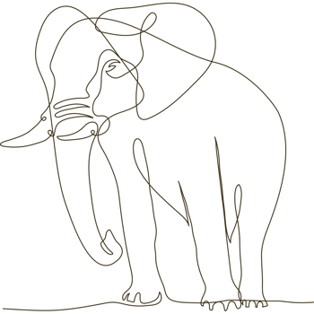 elephant wild line drawn png