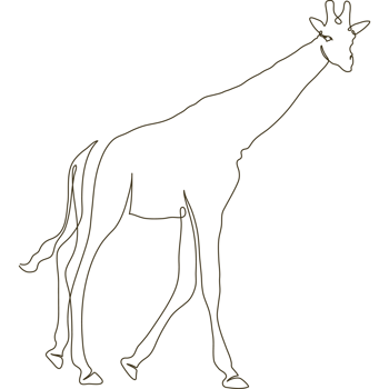 wild giraffe line drawn png