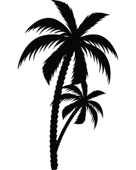 trees palms silhouettes png