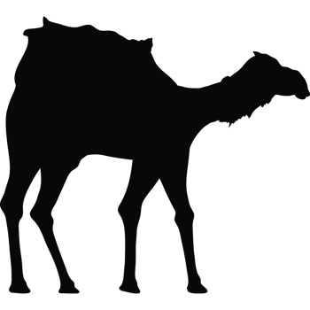 camel animal black silhouette png