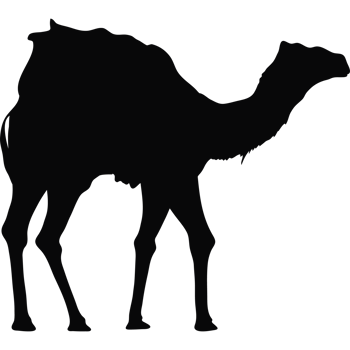 camel walking black silhouette png