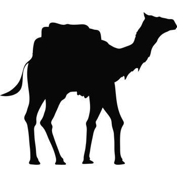 camel walking silhouette png
