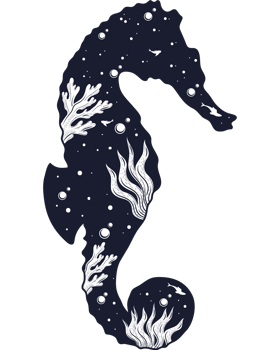 seahorse surreal sea life png