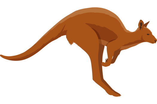kangaroo australian animal png